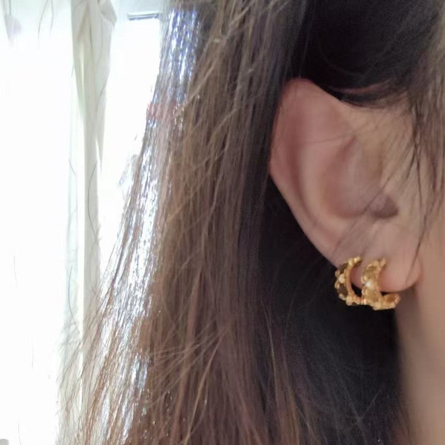 S925 Sterling Silver Vintage Commuter Iris Brushed Earrings Niche High-end Light Luxury Ear Jewelry