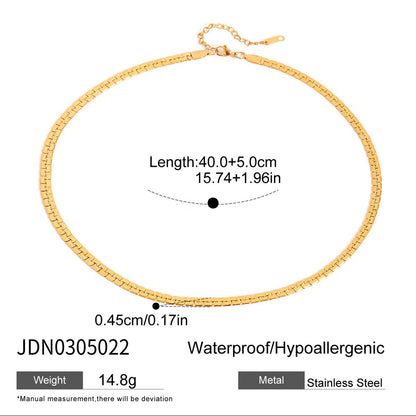 Titanium Steel Necklace Simple High-End Snake Bone Chain Clavicle Chain Popular Jewelry Stainless Steel Choker