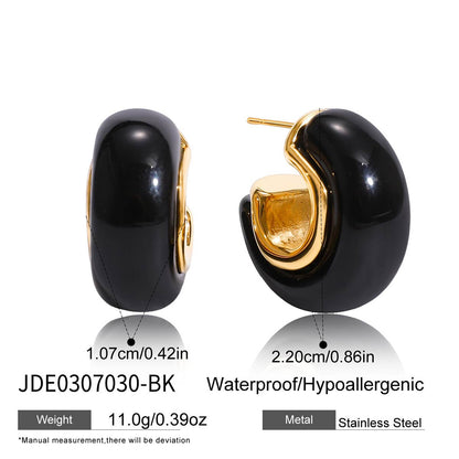 Maillard Autumn Winter Resin Earrings Niche Light Luxury Stainless Steel Studs Titanium Steel Ear Jewelry High-End Feel