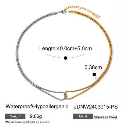 18K Gold Stainless Steel Gold and Silver Color Block Flat Snake Bone Chain Necklace INS Minimalist Style Unique Design Titanium Steel Necklace