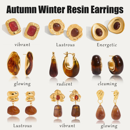 Stainless Steel Amber Resin Earrings Light Luxury High-end Earrings Non-fading Stainless Steel Ear Accessories